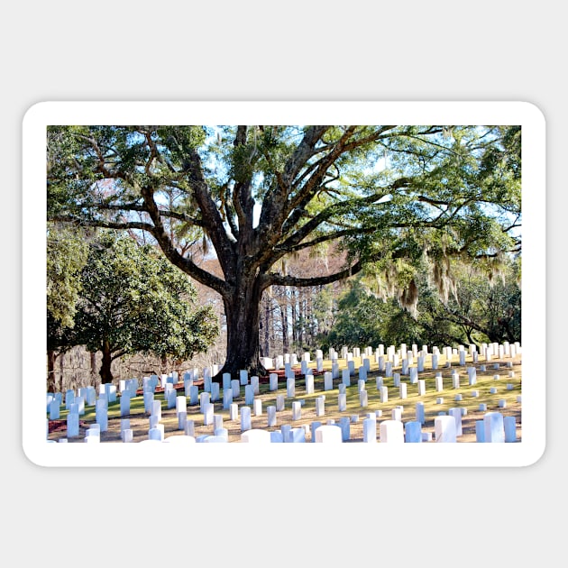 Wilmington National Cemetery Sticker by Cynthia48